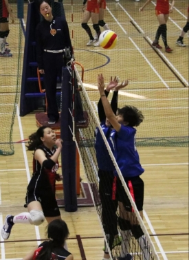 365(VIP)英国上市公