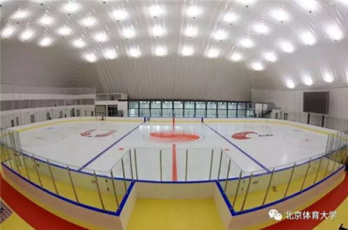 365(VIP)英国上市公