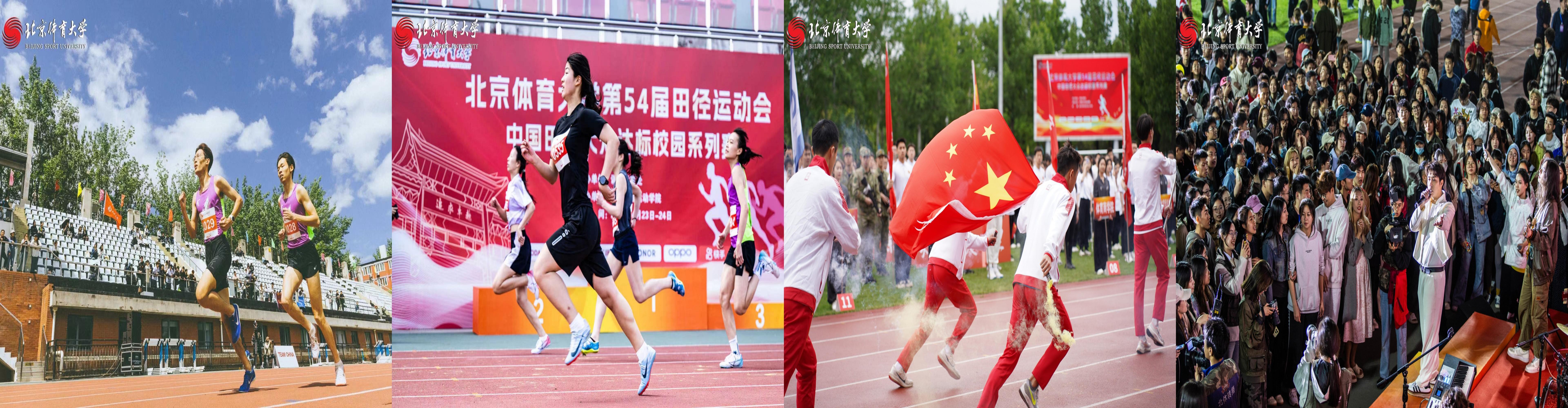 365(VIP)英国上市公