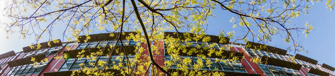 365(VIP)英国上市公